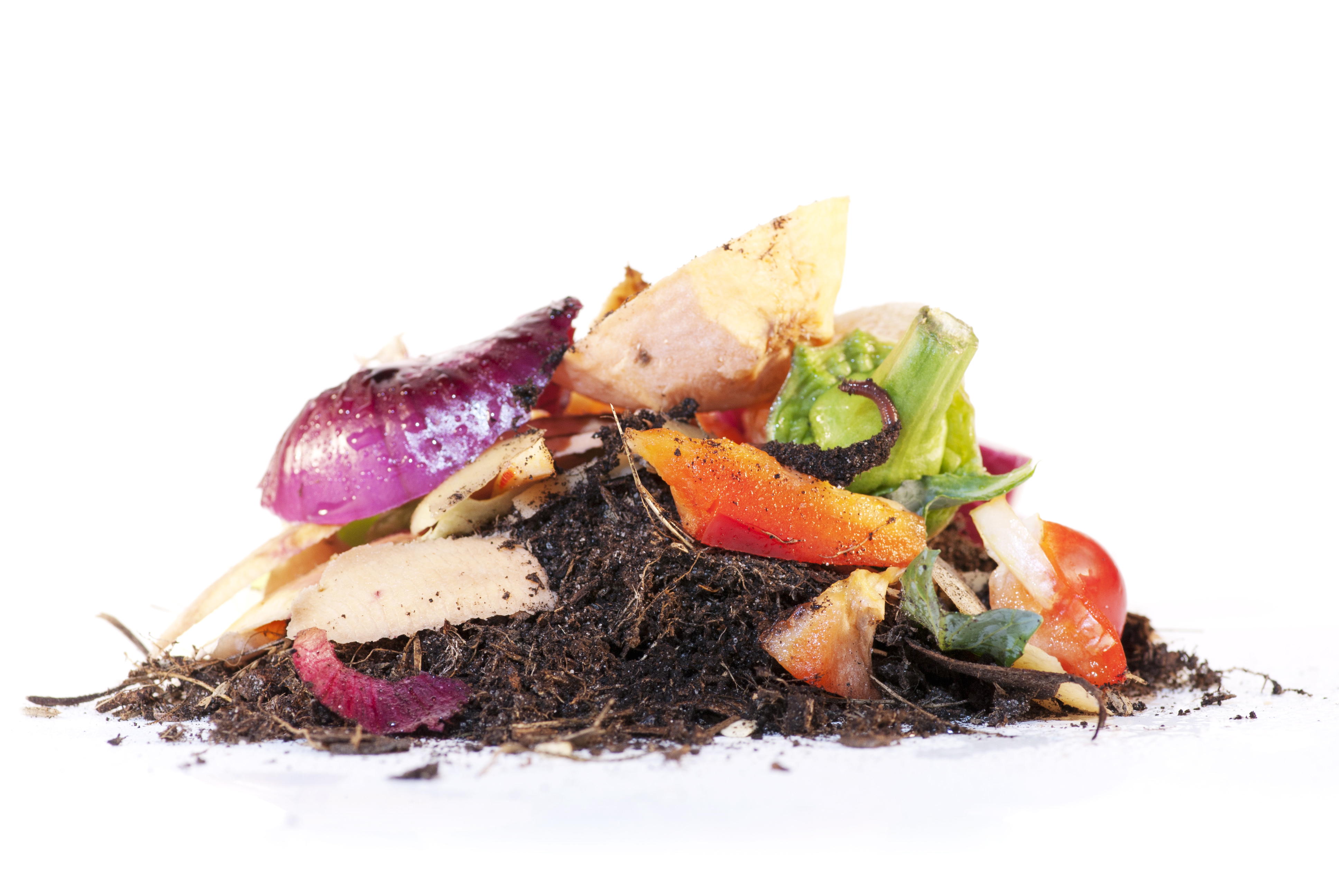 WZV Abteilungsleiter Mario Soltau, Analysefahrer Julian Baade und Vertriebsleiter Herr Bise der Firma GSA vor de unscheinbaren, aber technisch modern ausgerüsteten Fahrzeug (Quelle: wzv)